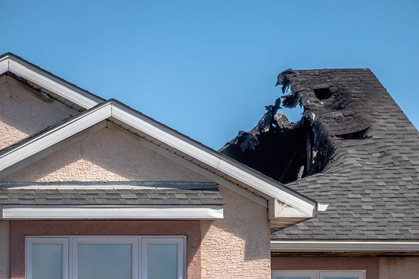 Top rated local Fire Damage Removal specialists in Plymouth Meeting, PA